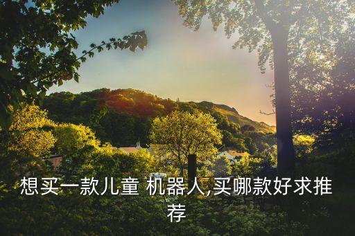機(jī)器人玩具什么樣的好,拼接的機(jī)器人玩具叫什么