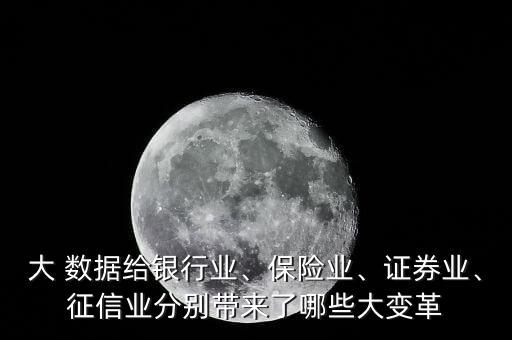 大 數(shù)據(jù)給銀行業(yè)、保險(xiǎn)業(yè)、證券業(yè)、征信業(yè)分別帶來(lái)了哪些大變革