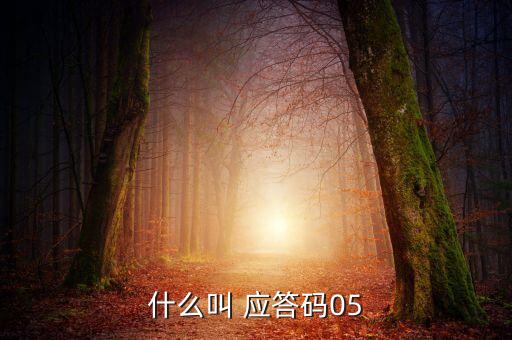 什么叫 應(yīng)答碼05
