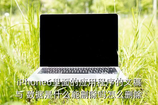 應用與數(shù)據(jù) iphone6