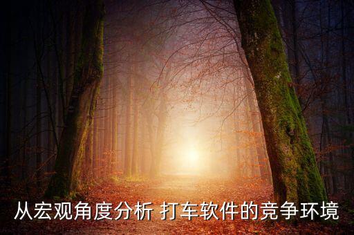 從宏觀角度分析 打車軟件的競爭環(huán)境