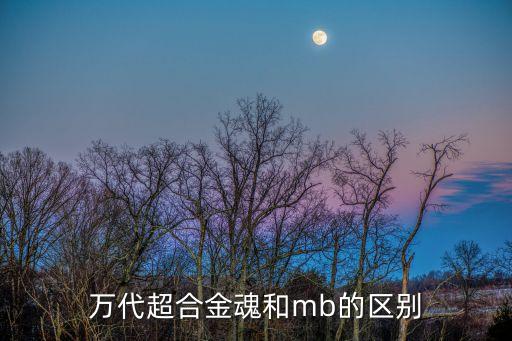 玩具機(jī)器人的身體骨架