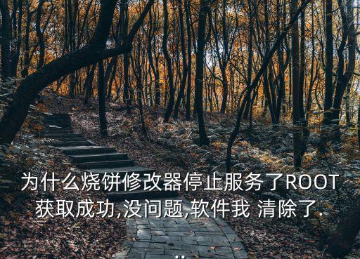 為什么燒餅修改器停止服務了ROOT獲取成功,沒問題,軟件我 清除了...