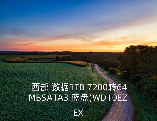 西部數(shù)據(jù)1t藍盤7200