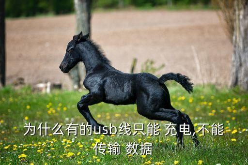 為什么有的usb線只能 充電,不能傳輸 數(shù)據(jù)