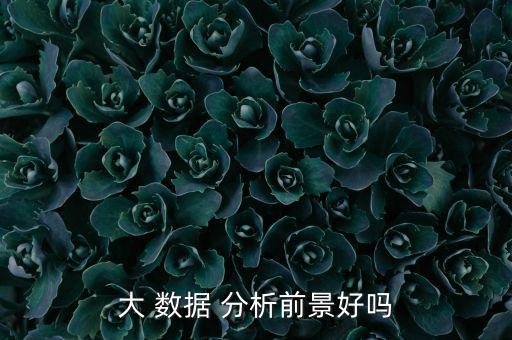 行業(yè)分析 大數(shù)據(jù)行業(yè),目前外貿行業(yè)的行業(yè)分析