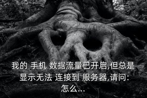 我的 手機(jī) 數(shù)據(jù)流量已開啟,但總是 顯示無法 連接到 服務(wù)器,請(qǐng)問:怎么...