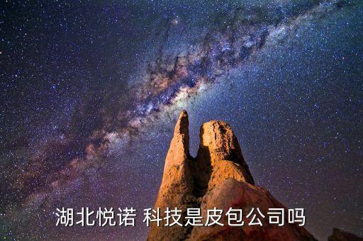 湖北悅諾 科技是皮包公司嗎
