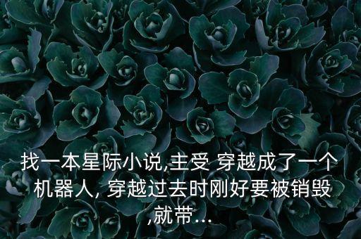 找一本星際小說,主受 穿越成了一個(gè) 機(jī)器人, 穿越過去時(shí)剛好要被銷毀,就帶...