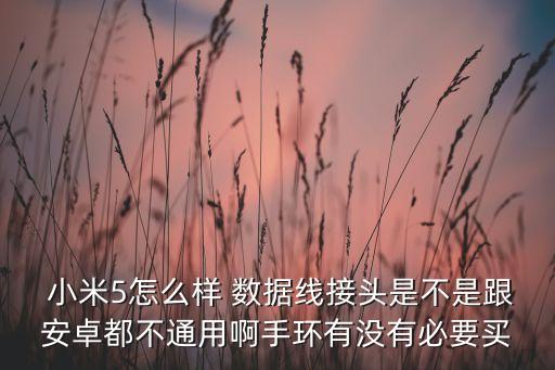  小米5怎么樣 數(shù)據(jù)線接頭是不是跟安卓都不通用啊手環(huán)有沒有必要買