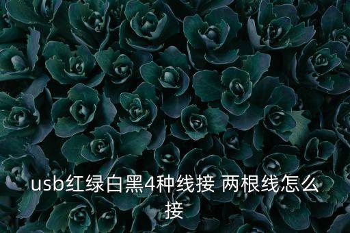 數(shù)據(jù)線里面兩根線