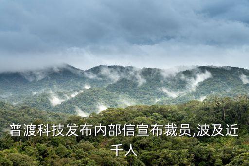 普渡科技發(fā)布內部信宣布裁員,波及近千人