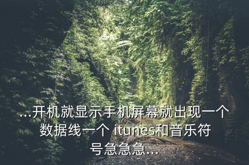 ...開機(jī)就顯示手機(jī)屏幕就出現(xiàn)一個 數(shù)據(jù)線一個 itunes和音樂符號急急急...