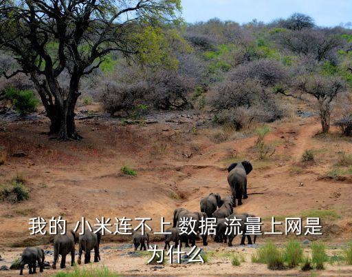 我的 小米連不上 數(shù)據(jù) 流量上網(wǎng)是為什么