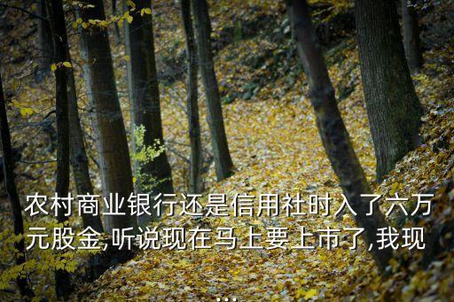 農(nóng)村融資 數(shù)據(jù),歷年IPO融資規(guī)模數(shù)據(jù)