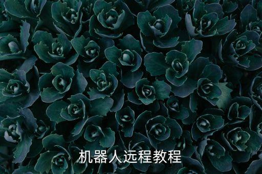 路威機(jī)器人遠(yuǎn)程教程