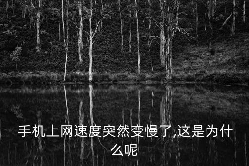  手機上網(wǎng)速度突然變慢了,這是為什么呢