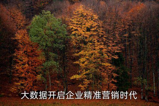 大數(shù)據(jù)管理平臺dmp,德州市綜合教育大數(shù)據(jù)管理平臺
