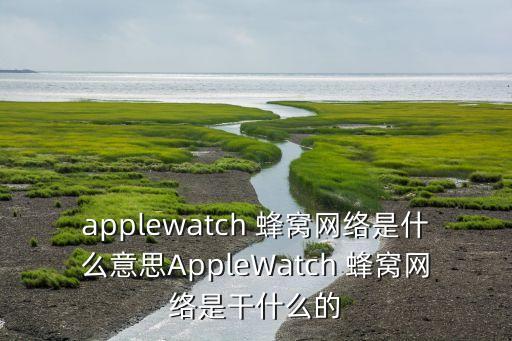 applewatch 蜂窩網(wǎng)絡(luò)是什么意思AppleWatch 蜂窩網(wǎng)絡(luò)是干什么的