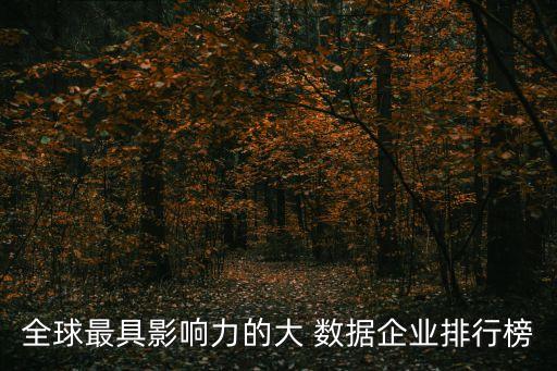 全球最具影響力的大 數(shù)據(jù)企業(yè)排行榜