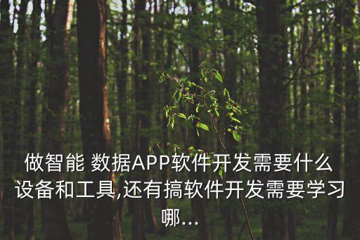 做智能 數(shù)據(jù)APP軟件開發(fā)需要什么設(shè)備和工具,還有搞軟件開發(fā)需要學(xué)習(xí)哪...