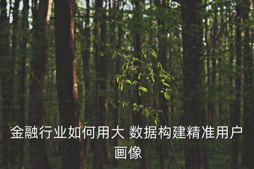 金融行業(yè)如何用大 數(shù)據(jù)構(gòu)建精準(zhǔn)用戶(hù) 畫(huà)像