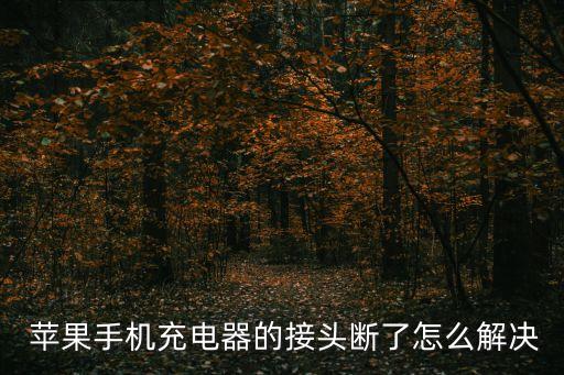 蘋果數(shù)據(jù)線剪斷圖片