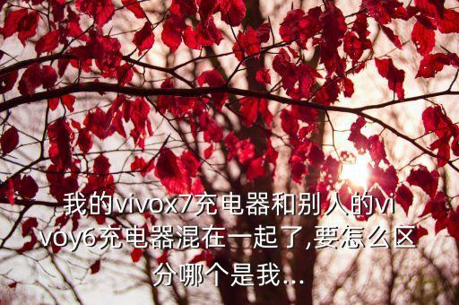 x7plus數(shù)據(jù)線型號