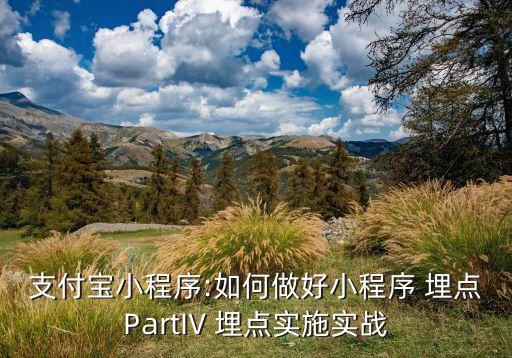 app數(shù)據(jù)埋點(diǎn),aPP與數(shù)據(jù)