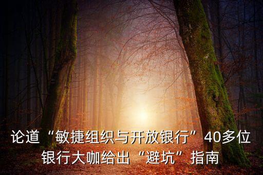 論道“敏捷組織與開(kāi)放銀行”40多位銀行大咖給出“避坑”指南