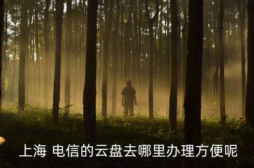  上海 電信的云盤去哪里辦理方便呢