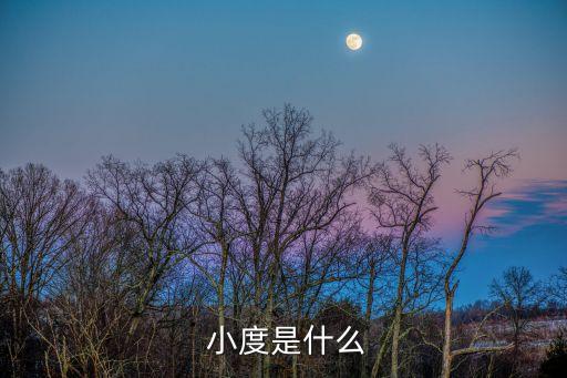  小度是什么