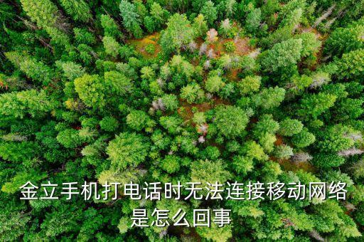 金立開啟數(shù)據(jù)上不了網(wǎng)