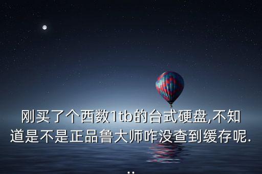 西部數(shù)據(jù)衛(wèi)士
