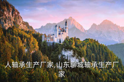 機(jī)器人軸承生產(chǎn)廠家,山東聊城軸承生產(chǎn)廠家