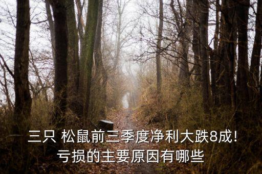 三只松鼠營銷數(shù)據(jù)