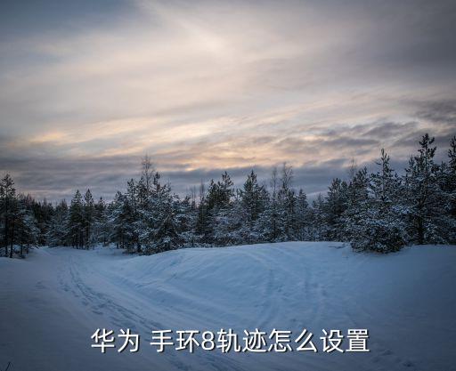 平安run華為手環(huán)數(shù)據(jù),華為手環(huán)運(yùn)動(dòng)數(shù)據(jù)和手機(jī)不同步怎么辦
