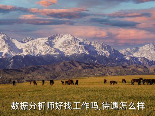 互聯(lián)網(wǎng)數(shù)據(jù)分析專(zhuān)員,數(shù)據(jù)分析專(zhuān)員需要掌握哪些技能