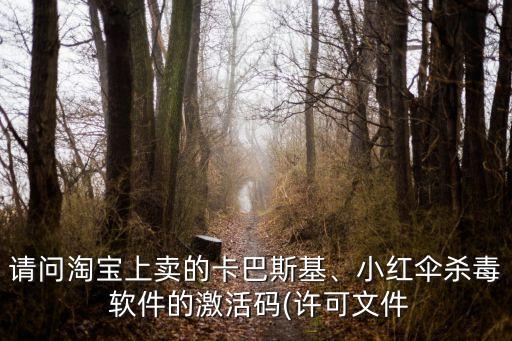淘寶大數(shù)據(jù)軟件 注冊(cè)碼,手機(jī)淘寶軟件里面的數(shù)據(jù)能刪除嗎