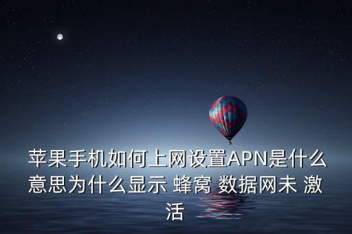  蘋果手機(jī)如何上網(wǎng)設(shè)置APN是什么意思為什么顯示 蜂窩 數(shù)據(jù)網(wǎng)未 激活
