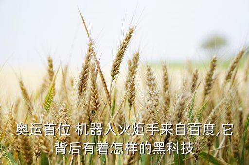 奧運(yùn)首位 機(jī)器人火炬手來自百度,它背后有著怎樣的黑科技
