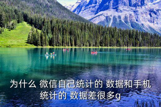 為什么 微信自己統(tǒng)計的 數(shù)據(jù)和手機統(tǒng)計的 數(shù)據(jù)差很多g