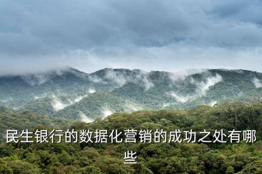 民生銀行的數(shù)據(jù)化營銷的成功之處有哪些