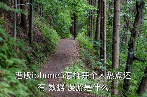 蘋果5漫游數(shù)據(jù)功能在哪兒,蘋果手機怎么設(shè)置數(shù)據(jù)漫游功能