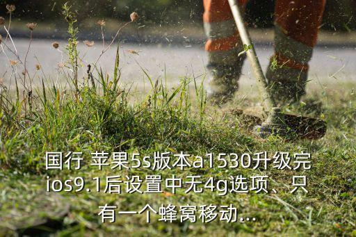 蘋(píng)果5s9.1數(shù)據(jù)開(kāi)了用不了