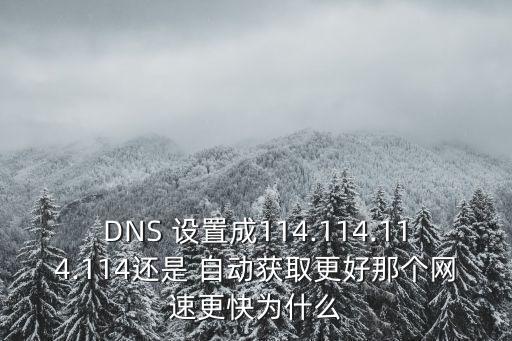 DNS 設(shè)置成114.114.114.114還是 自動獲取更好那個網(wǎng)速更快為什么