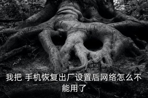 我把 手機恢復出廠設(shè)置后網(wǎng)絡(luò)怎么不能用了