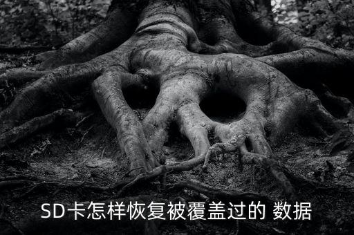 SD卡怎樣恢復被覆蓋過的 數(shù)據(jù)