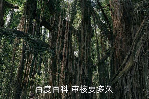 百度百科 審核要多久