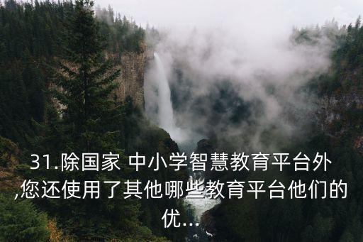 31.除國(guó)家 中小學(xué)智慧教育平臺(tái)外,您還使用了其他哪些教育平臺(tái)他們的優(yōu)...
